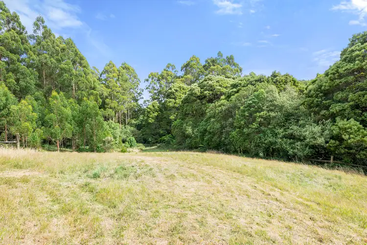 Third view of Homely rural property listing, 4 College Drive, Lavers Hill VIC 3238