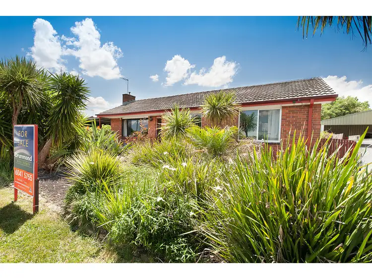 Main view of Homely house listing, 442 Reid Avenue, Lavington NSW 2641