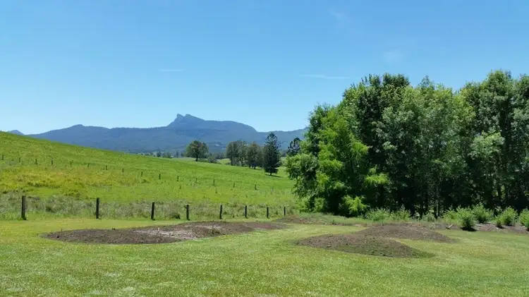 Second view of Homely rural property listing, 191 Pinnacle Road, Tyalgum NSW 2484