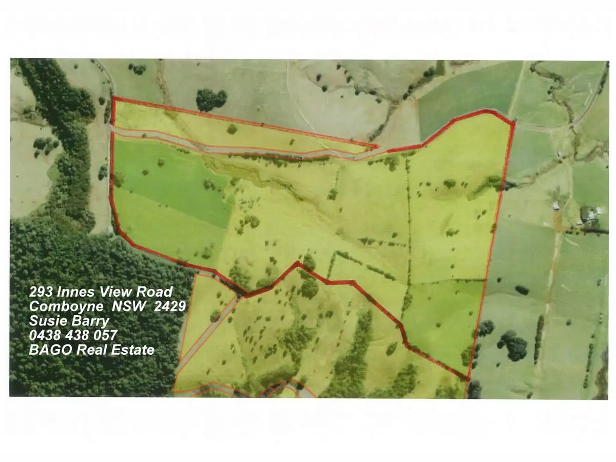 Main view of Homely rural property listing, 293 Innes View Road, Comboyne NSW 2429