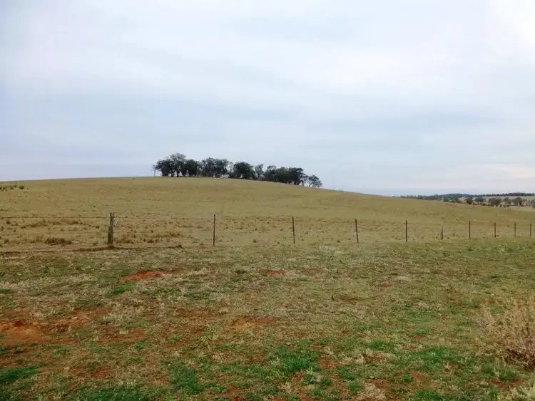 Seventh view of Homely rural property listing, 304 Norah Creek Road, Molong NSW 2866
