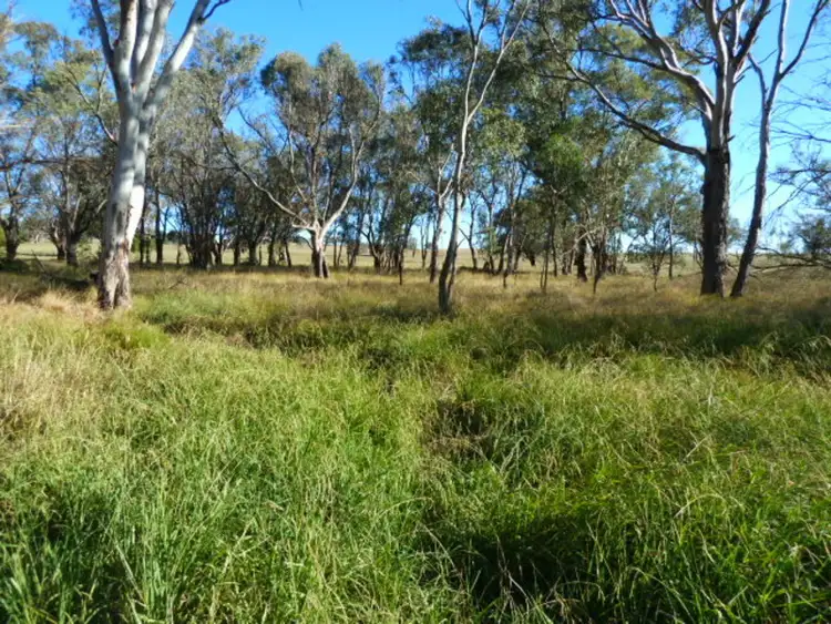 Fourth view of Homely house listing, 197 Bicton Lane, Molong NSW 2866