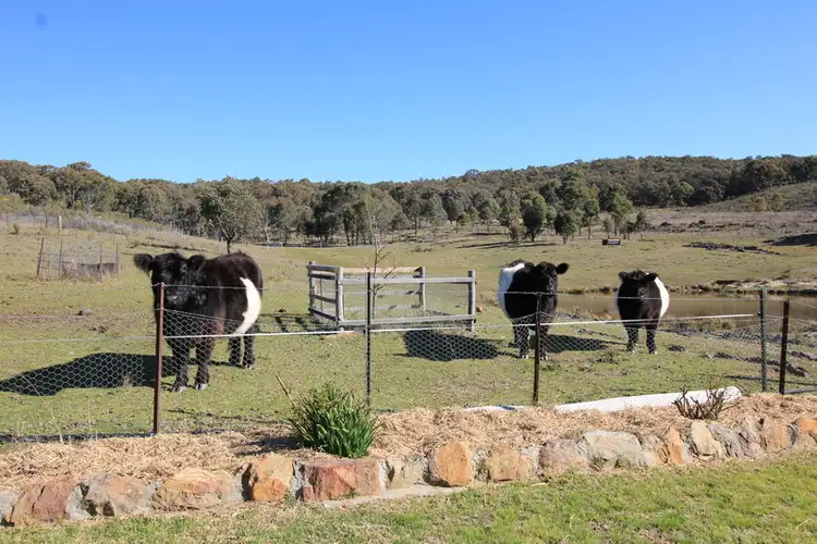 326 Dougherty's Junction Road, Mudgee NSW 2850