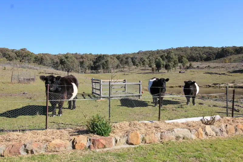 Main view of Homely rural property listing, 326 Dougherty's Junction Road, Mudgee NSW 2850