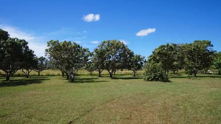 Fourth view of Homely rural property listing, 558 McGrath Road, Mareeba QLD 4880