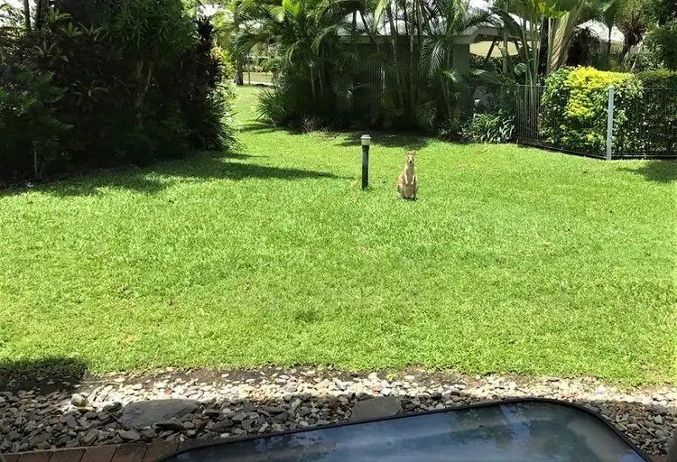 126/2 Keem Street, Trinity Beach QLD 4879