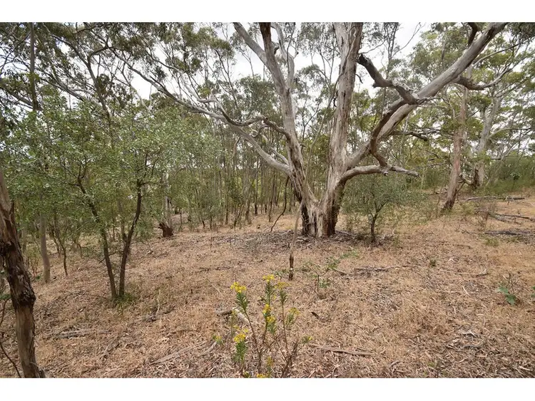 Seventh view of Homely rural property listing, Address available on request