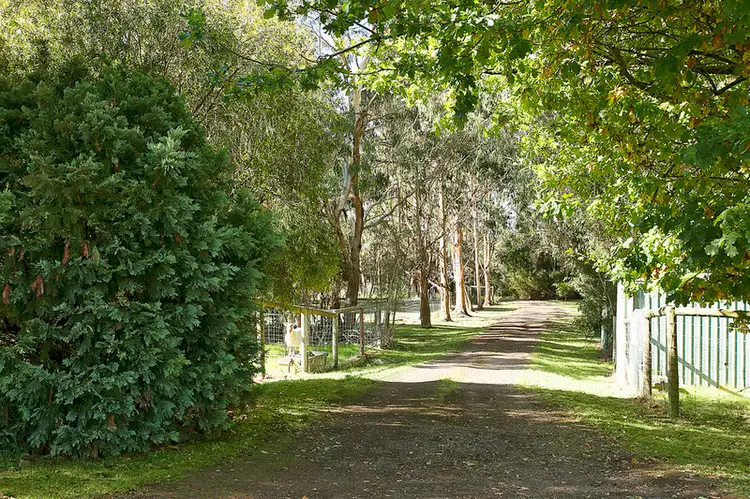 Seventh view of Homely house listing, 690 Melrose Road, Cooriemungle VIC 3268