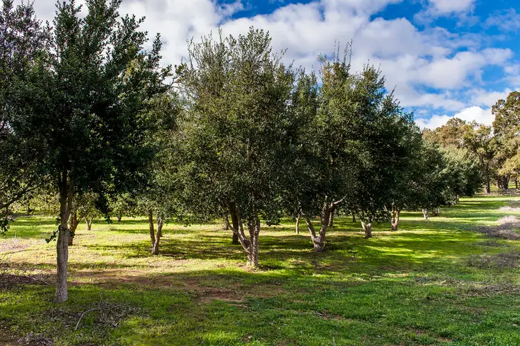Third view of Homely house listing, 217 Breeze Road, Gidgegannup WA 6083