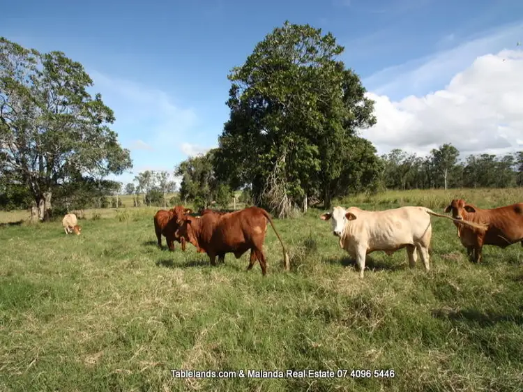 Second view of Homely rural property listing, F324 323 McKeown Road, East Barron QLD 4883
