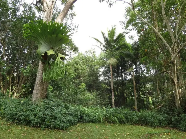 Third view of Homely house listing, 11 Mitchell Street, Uki NSW 2484