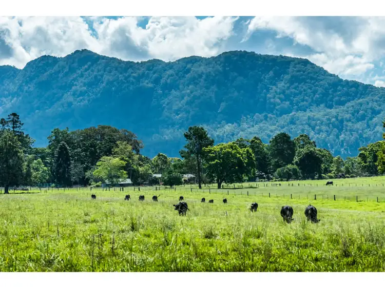 285 Roses Road, Bellingen NSW 2454