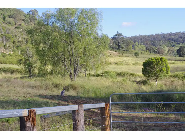 Main view of Homely land listing, 1900 Gatton Clifton Road, Fordsdale QLD 4343