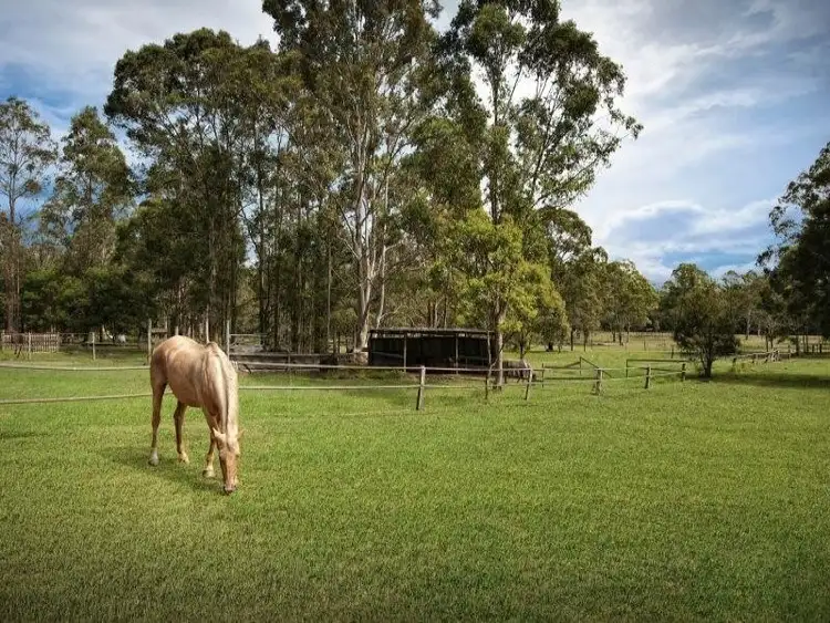 Second view of Homely rural property listing, 164 Woods Road, Jilliby NSW 2259