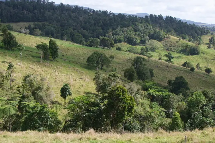 Fifth view of Homely rural property listing, Address available on request