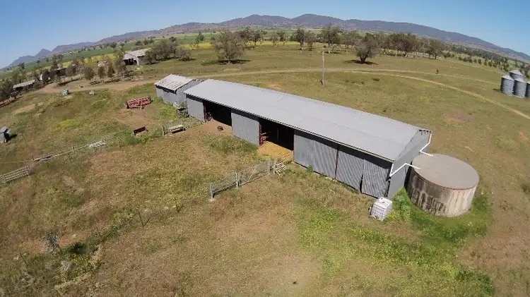 Seventh view of Homely rural property listing, - Ridds Lane, Tamworth NSW 2340