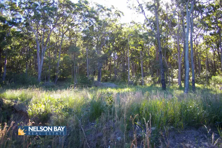 Sixth view of Homely land listing, 31 The Esplanade, North Arm Cove NSW 2324