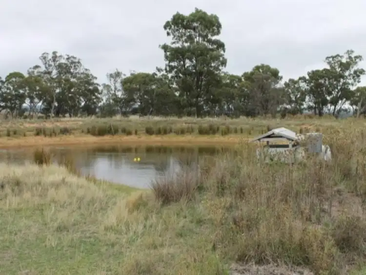 Fourth view of Homely rural property listing, 3422 Gundong Road, Yeoval NSW 2868