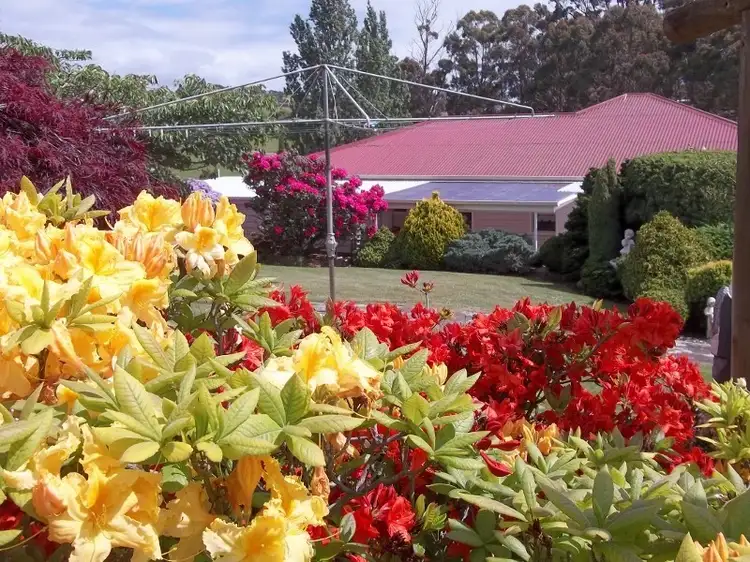 Second view of Homely house listing, 43 Deviation Road, Penguin TAS 7316