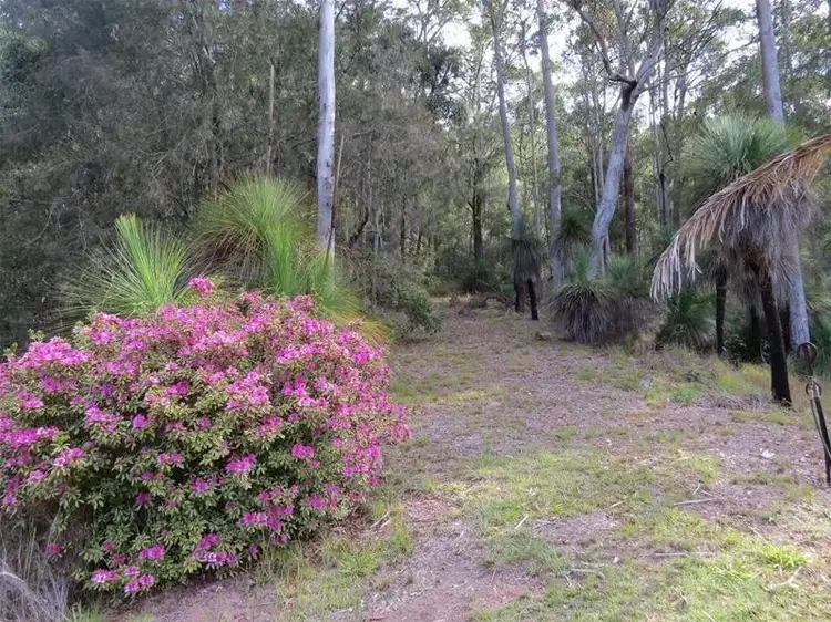 Seventh view of Homely rural property listing, 254 Rowlands creek Road, Uki NSW 2484