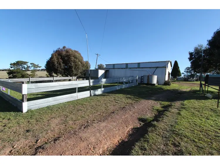 Second view of Homely rural property listing, 260 Curly Dick Road, Meadow Flat NSW 2795
