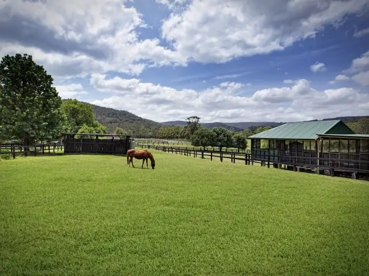 Fifth view of Homely rural property listing, 1511 Yarramalong Road, Yarramalong NSW 2259