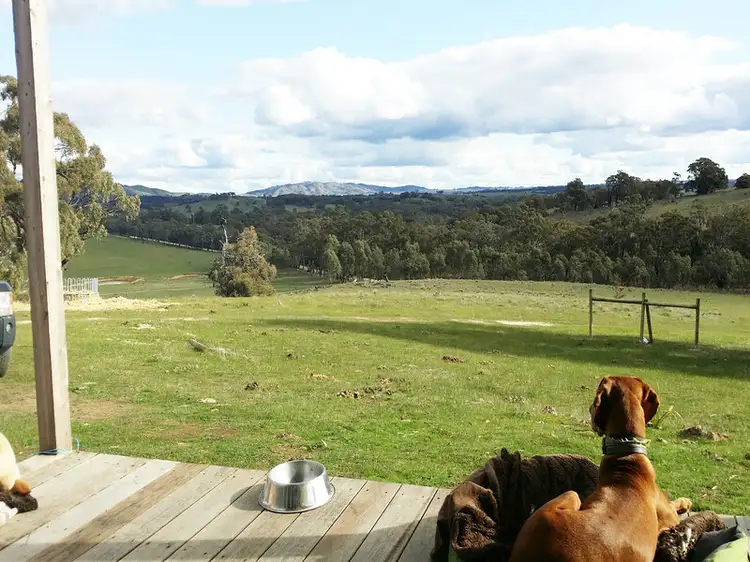 Second view of Homely land listing, 1045 DairyFlat Road, Tooborac VIC 3522