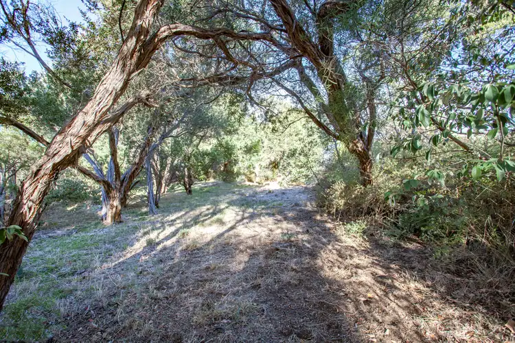 Main view of Homely land listing, 29 Florence Drive, Rye VIC 3941