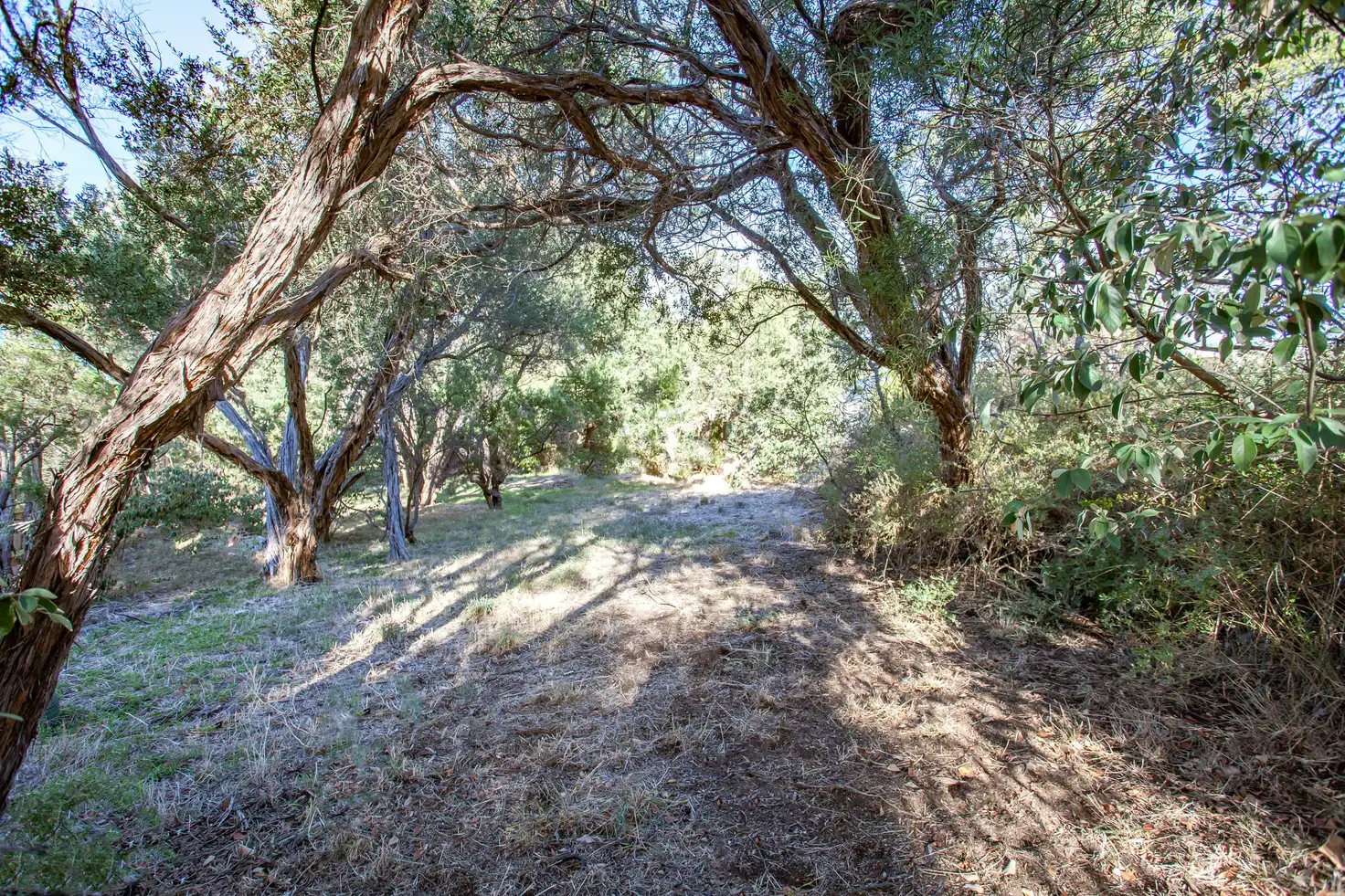 Main view of Homely land listing, 29 Florence Drive, Rye VIC 3941