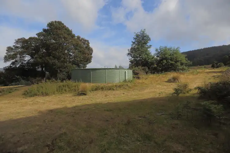 Second view of Homely rural property listing, 196 Wilks Road, Lorinna TAS 7306