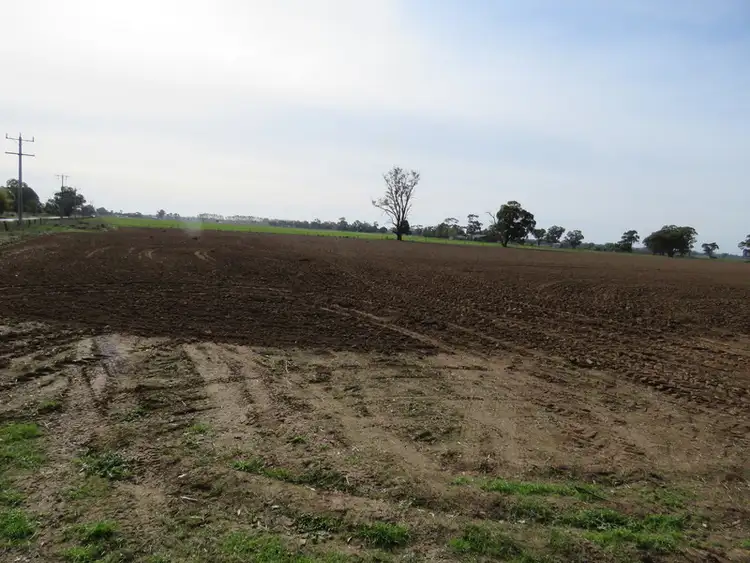 Fourth view of Homely rural property listing, 805 Archer Road, Kialla VIC 3631