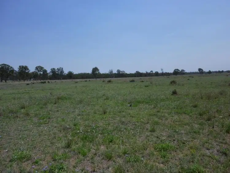 Sixth view of Homely rural property listing, Lot 2078 Rosenthal-Boundary Road, Clifton QLD 4361