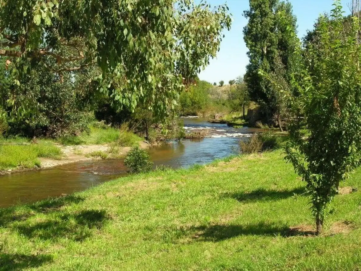 Main view of Homely land listing, 4 Merrijig Place, Merrijig VIC 3723