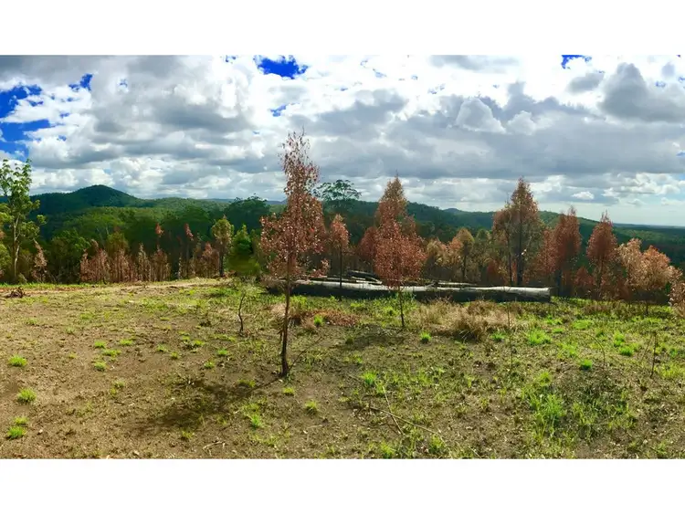 Fourth view of Homely rural property listing, 518 Pappinbarra Road, Beechwood NSW 2446