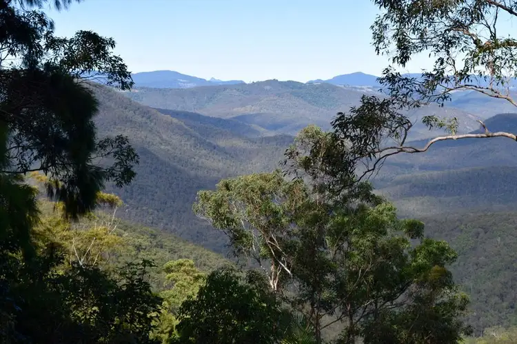 Main view of Homely house listing, 45 STAGHORN Road, Tamborine Mountain QLD 4272