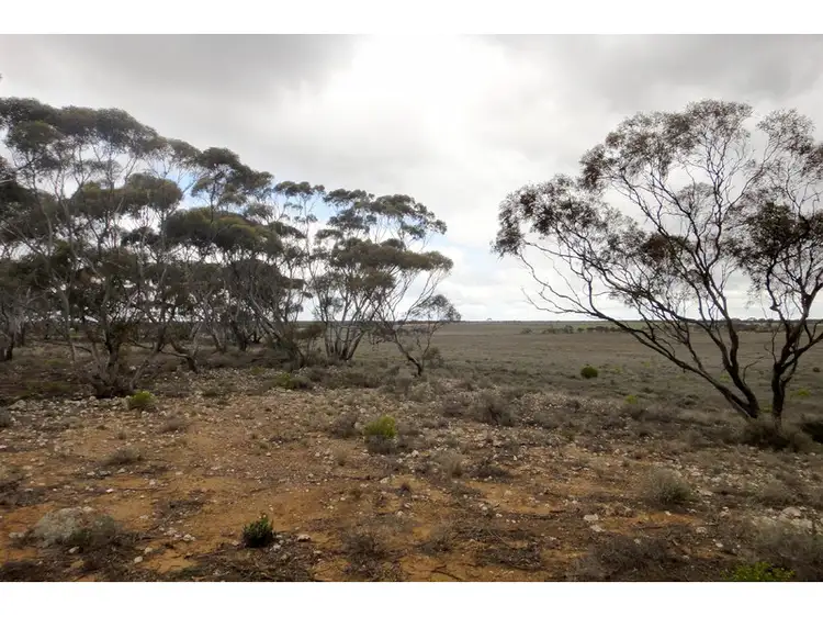 Fourth view of Homely rural property listing, Section 178 Halfway House Road, Sedan SA 5353