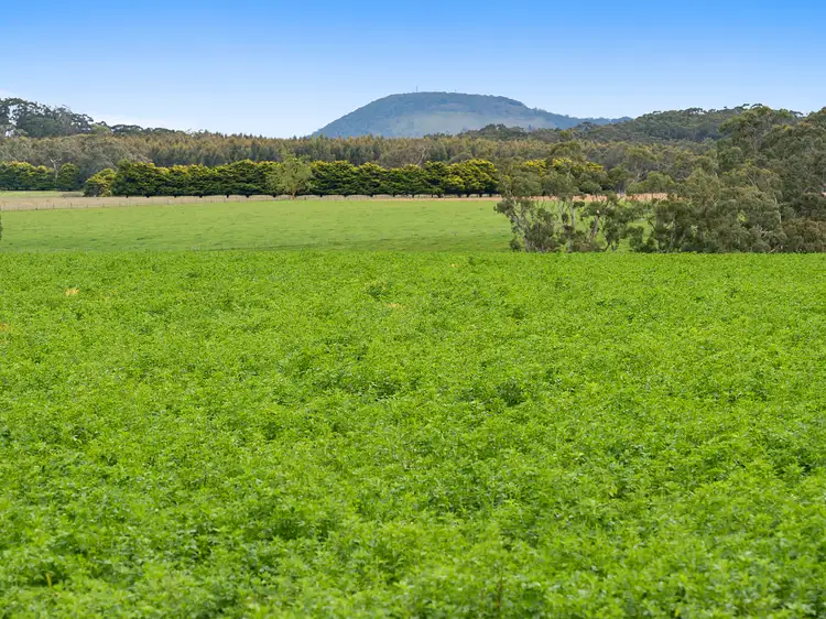 Main view of Homely rural property listing, 200 McGuigans Road, Millbrook VIC 3352