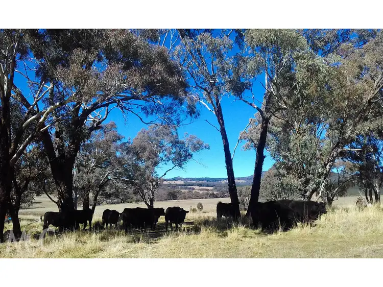 Fifth view of Homely rural property listing, 'Ferndale' 93 Caves Creek Road, Orange NSW 2800