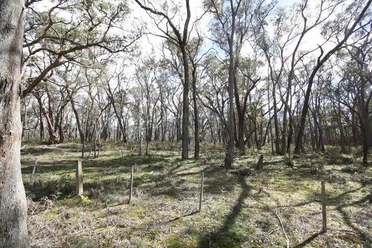LOT 10 ps10098 Ferrers Road, Dereel VIC 3352