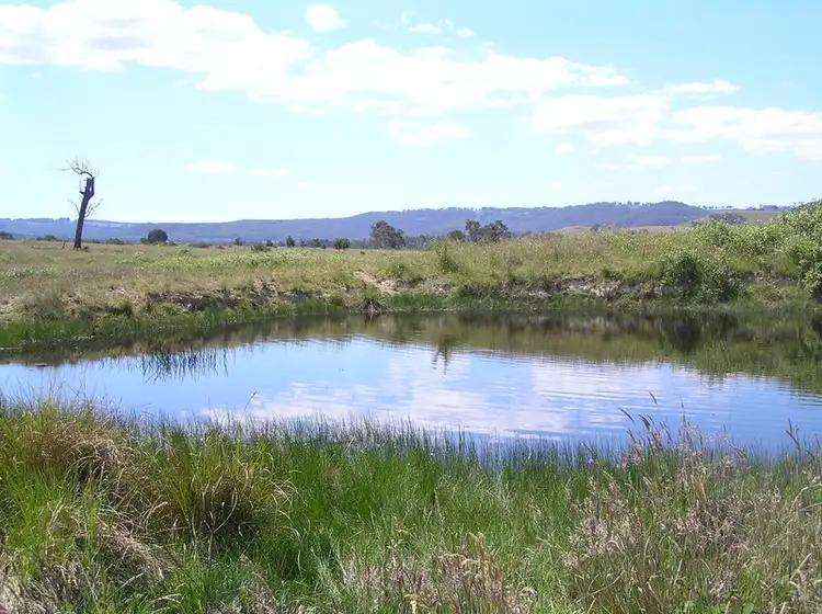 Fourth view of Homely rural property listing, 231 Excelsior Road, Mudgee NSW 2850