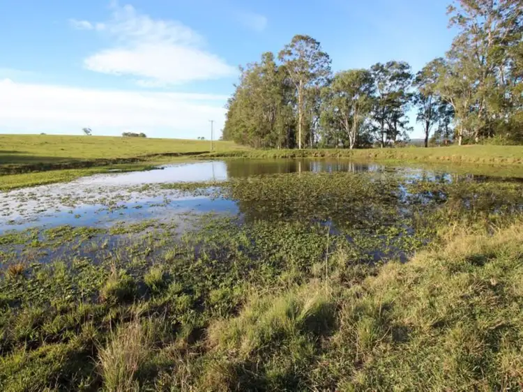Seventh view of Homely rural property listing, 618 Tullymorgan Road, Lawrence NSW 2460