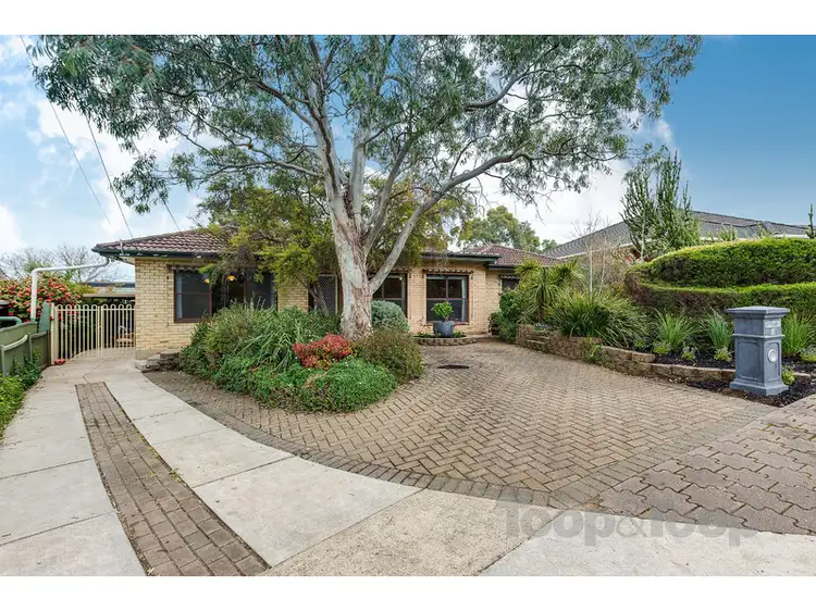 3 Darling Street, Valley View SA 5093