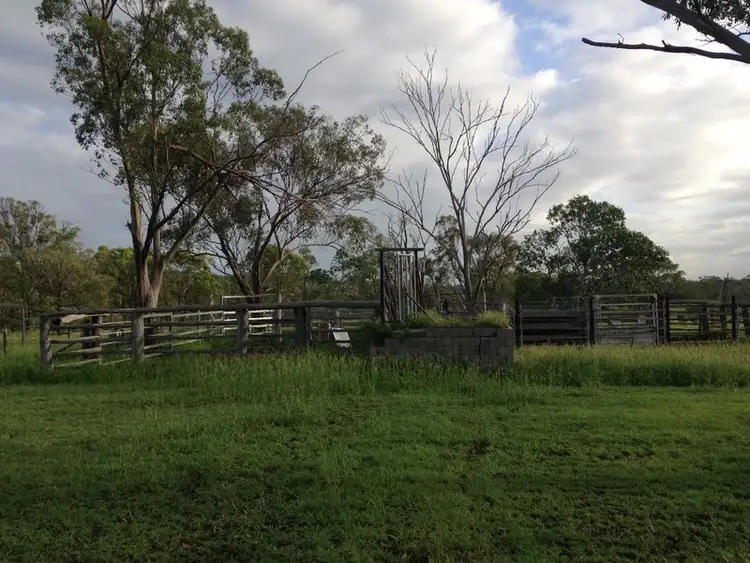 Third view of Homely rural property listing, 557 Bishop Road, Garnant QLD 4702