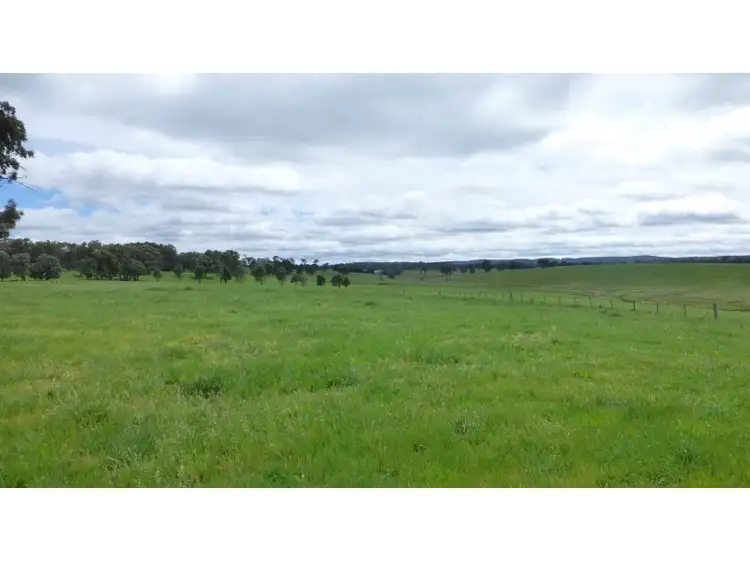 Fifth view of Homely rural property listing, 277 Fanning Road, Mullion Creek NSW 2800
