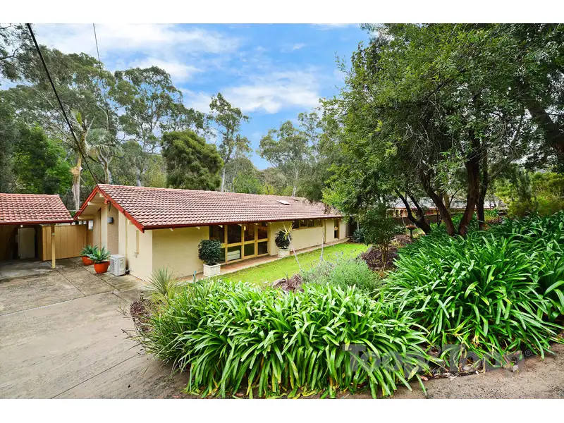 Main view of Homely house listing, 5 Minnow Drive, Glenalta SA 5052