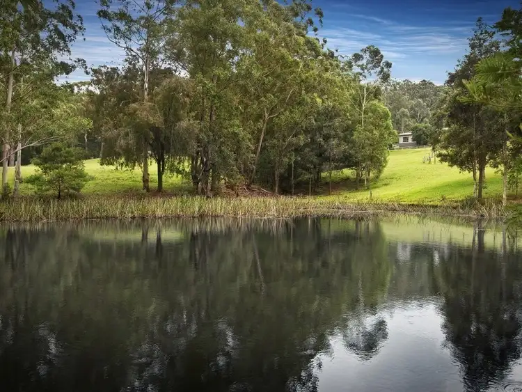 Fifth view of Homely rural property listing, 77 Phil Tunks Road, Dooralong NSW 2259