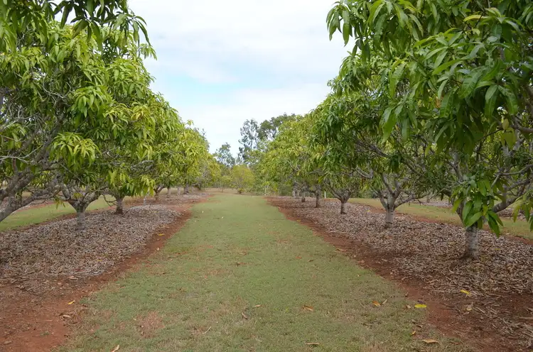 Fourth view of Homely land listing, 41 Cypress Road, Biboohra QLD 4880