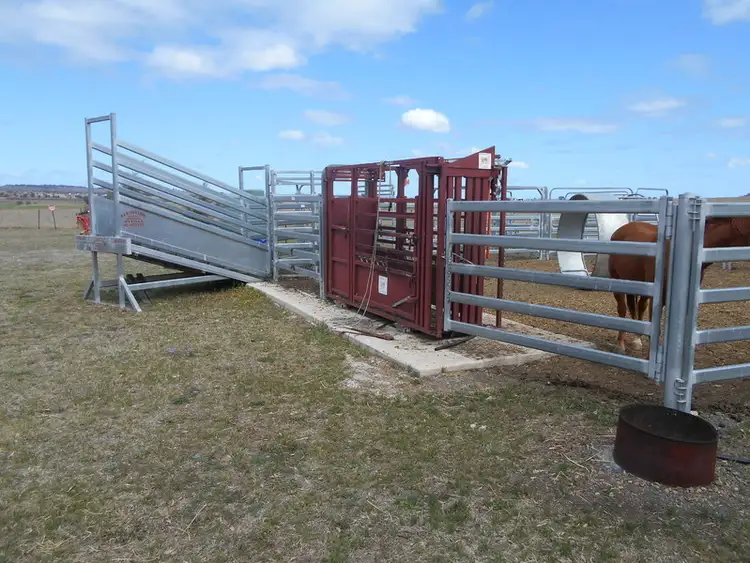 Fourth view of Homely rural property listing, 337 Forest Plains Road, Allora QLD 4362