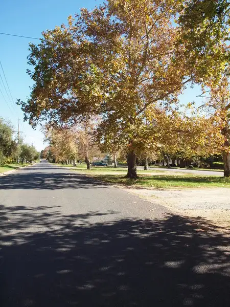Seventh view of Homely house listing, 18 Larmer Street, Narrandera NSW 2700
