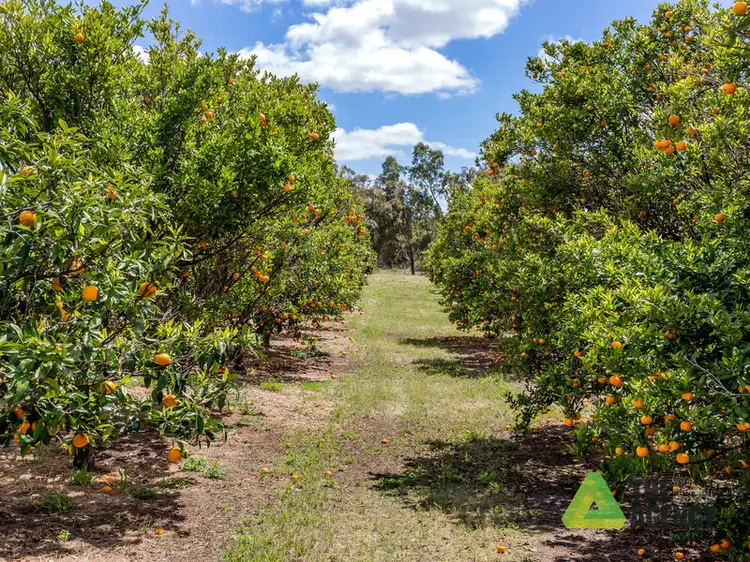 Seventh view of Homely house listing, 1530 Viveash Road, Swan View WA 6056